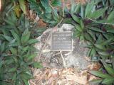 image of grave number 619249
